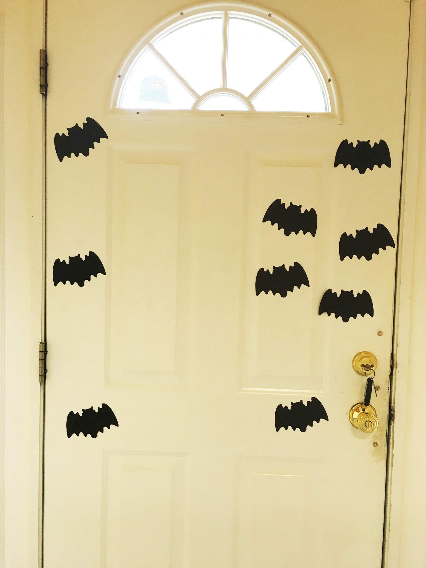 SHAPES ETC. Die-Cut Magnetic - Spider Cut Out Small Single Color