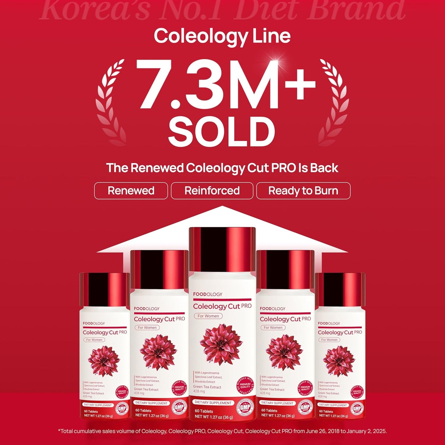 Foodology Coleology Cutting Pro