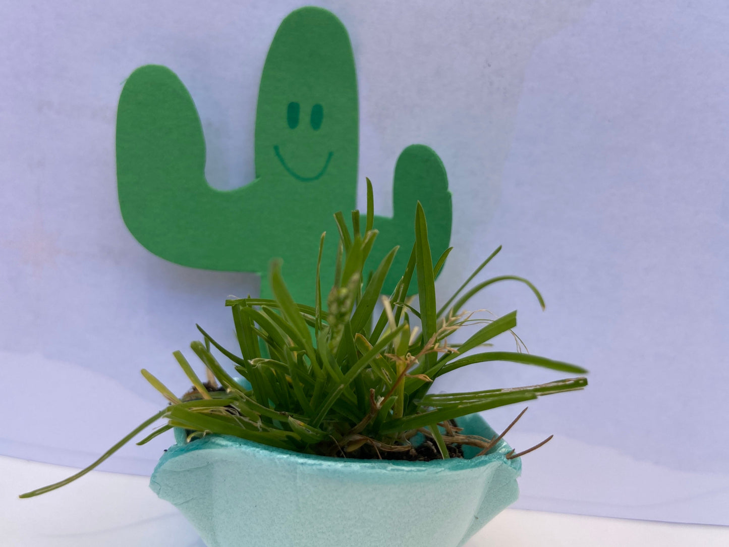 SHAPES ETC. Small Single Color Cut-Out - Cactus