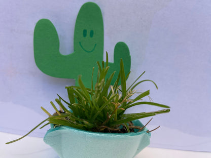 SHAPES ETC. Small Single Color Cut-Out - Cactus