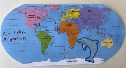 SHAPES ETC. World Practice Map Double Combo Pack- 8” x 16”