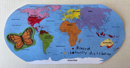 SHAPES ETC. World Practice Map Combo Pack- 8” x 16”