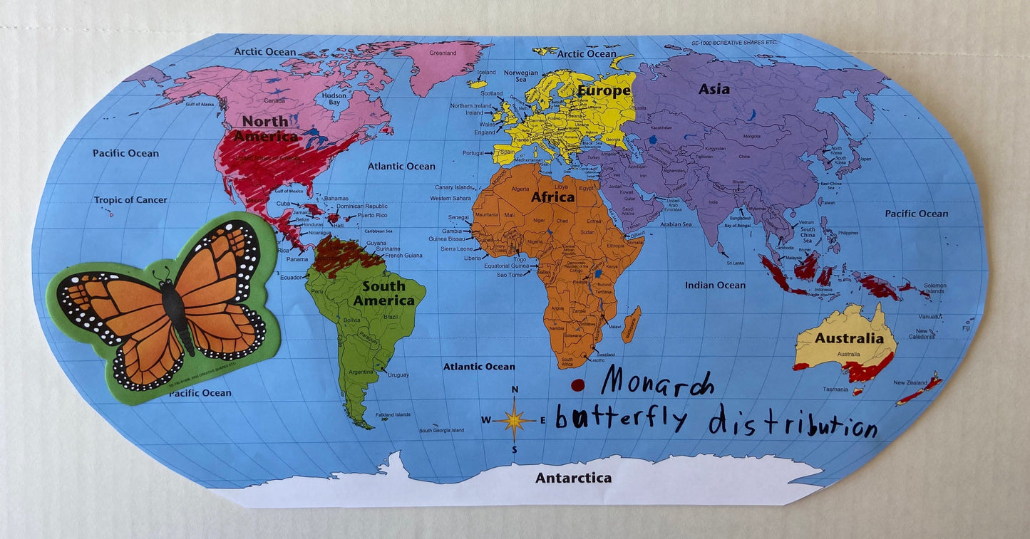 SHAPES ETC. Mini Notepad - Butterfly