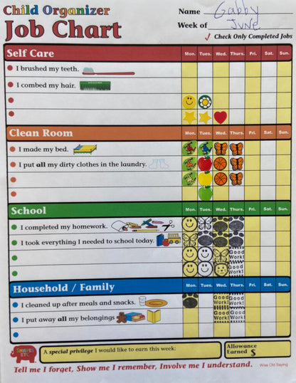 SHAPES ETC. Job Chart - Child Organizer