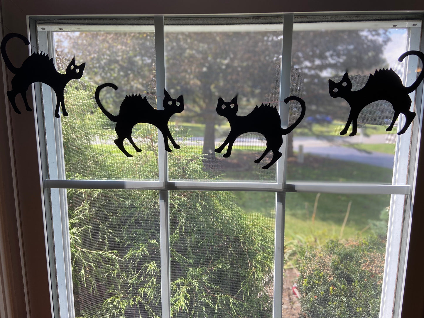 SHAPES ETC. Large Single Color Cut-Out - Cat