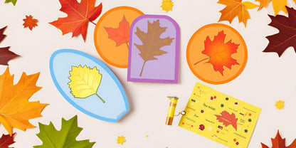 SHAPES ETC. Large Cardstock Accents - Leaves Variety Pack
