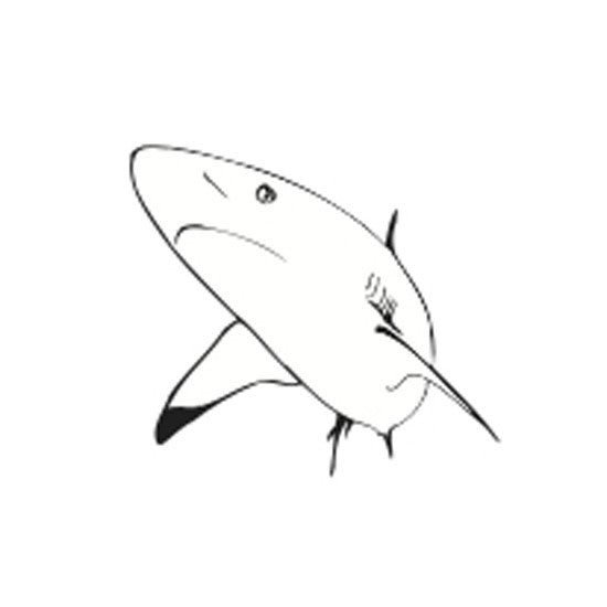SHAPES ETC.  Incentive Stamp - Shark