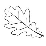 SHAPES ETC.  Incentive Stamp - Oak Leaf