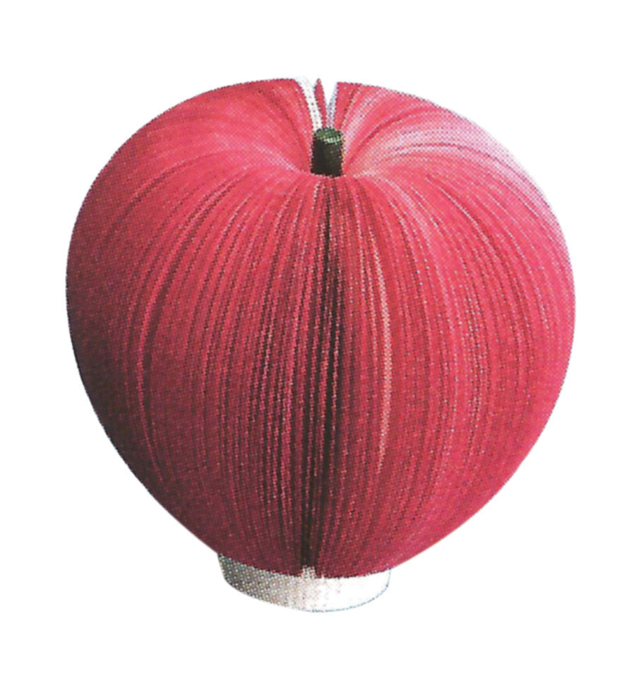SHAPES ETC. Big Red Apple- SURROUNDS  3-Dimensional Notepads