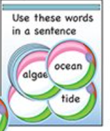 SHAPES ETC. Mini Notepad - Beach Ball