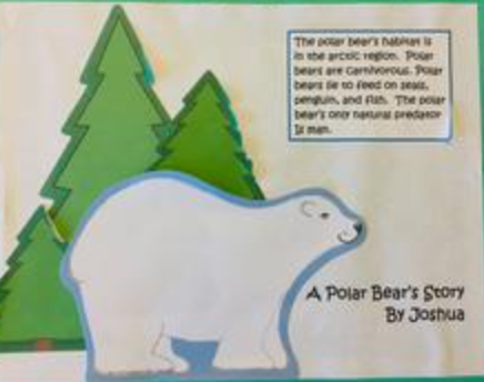SHAPES ETC. Large Notepad Set - Winter