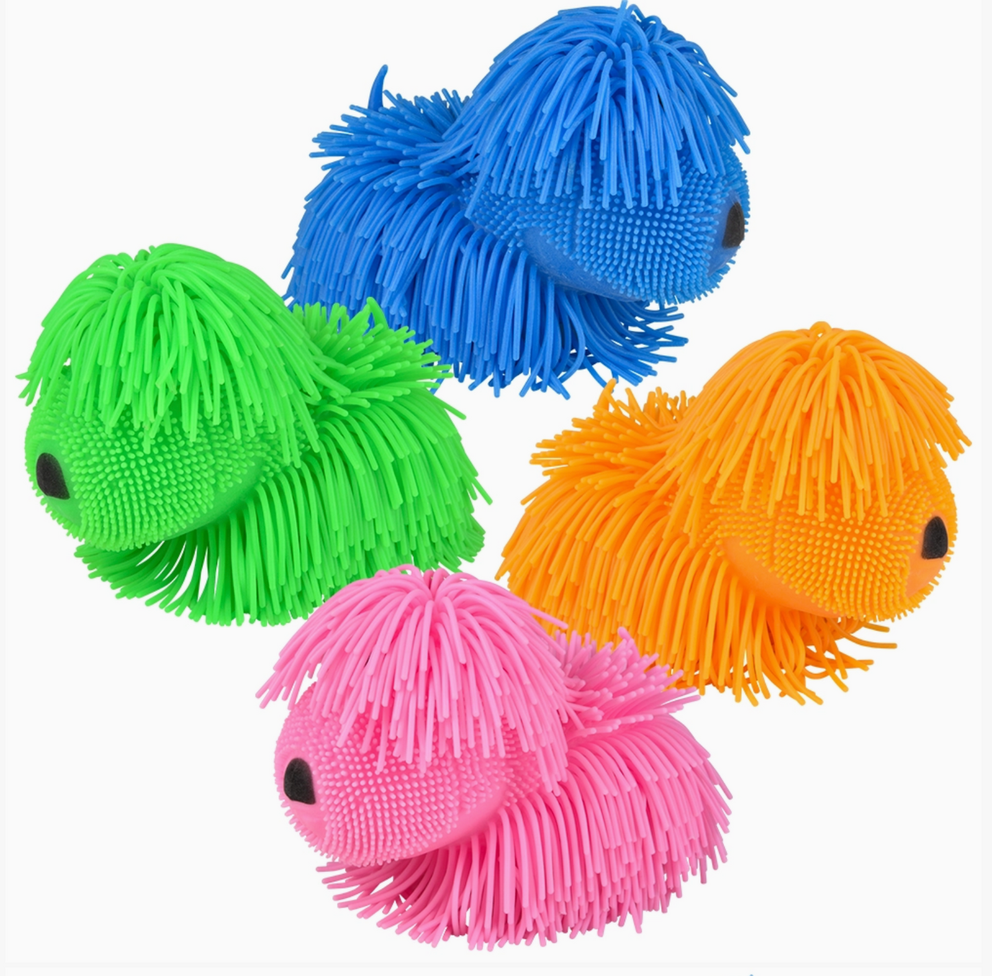 Shaggy Pups