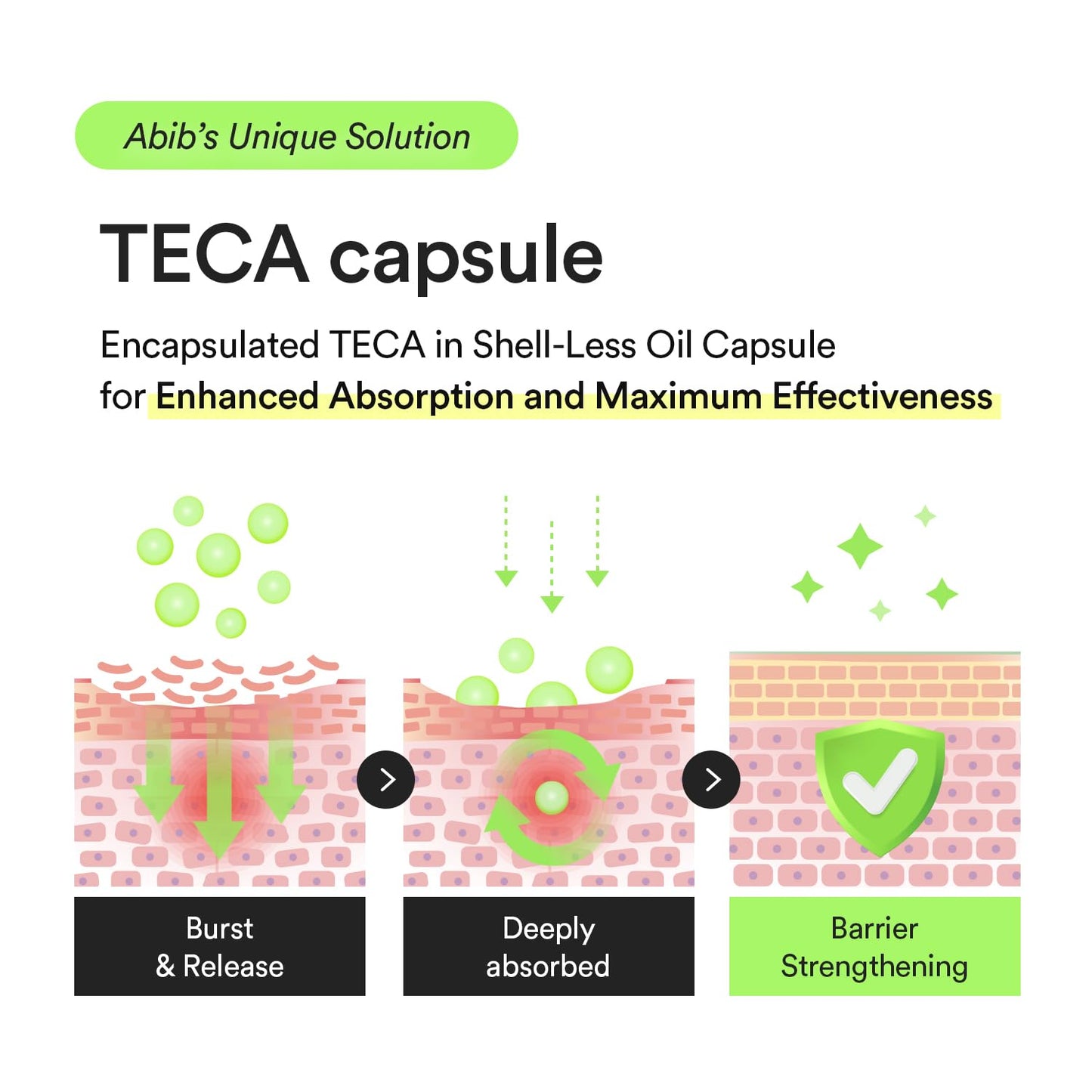 Abib Heartleaf TECA Capsule Serum in a glass dropper bottle, with capsules and herbal ingredients visible, for soothing skincare.