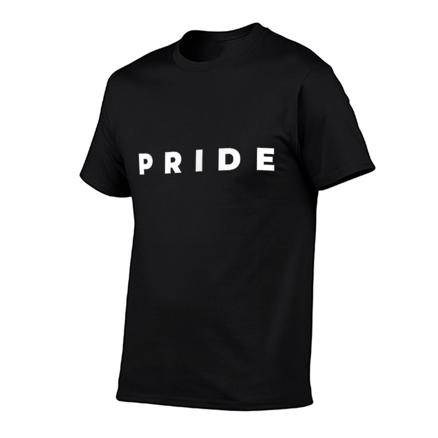 Pride Month Subtle Pride Stuff Minimalist Gay Rights LGBT  Affordable Price T-Shirt