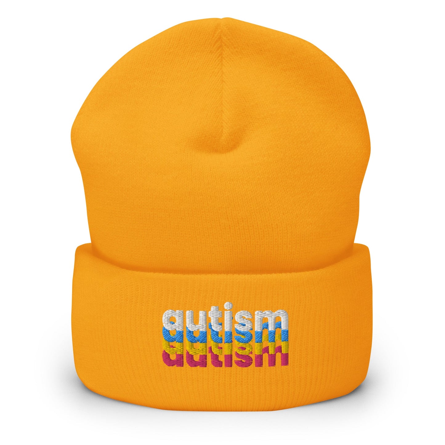 Autism Beanie