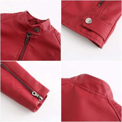 Fitted Moto Jacket | Stand Collar Faux Leather Biker Jacket(MS246)