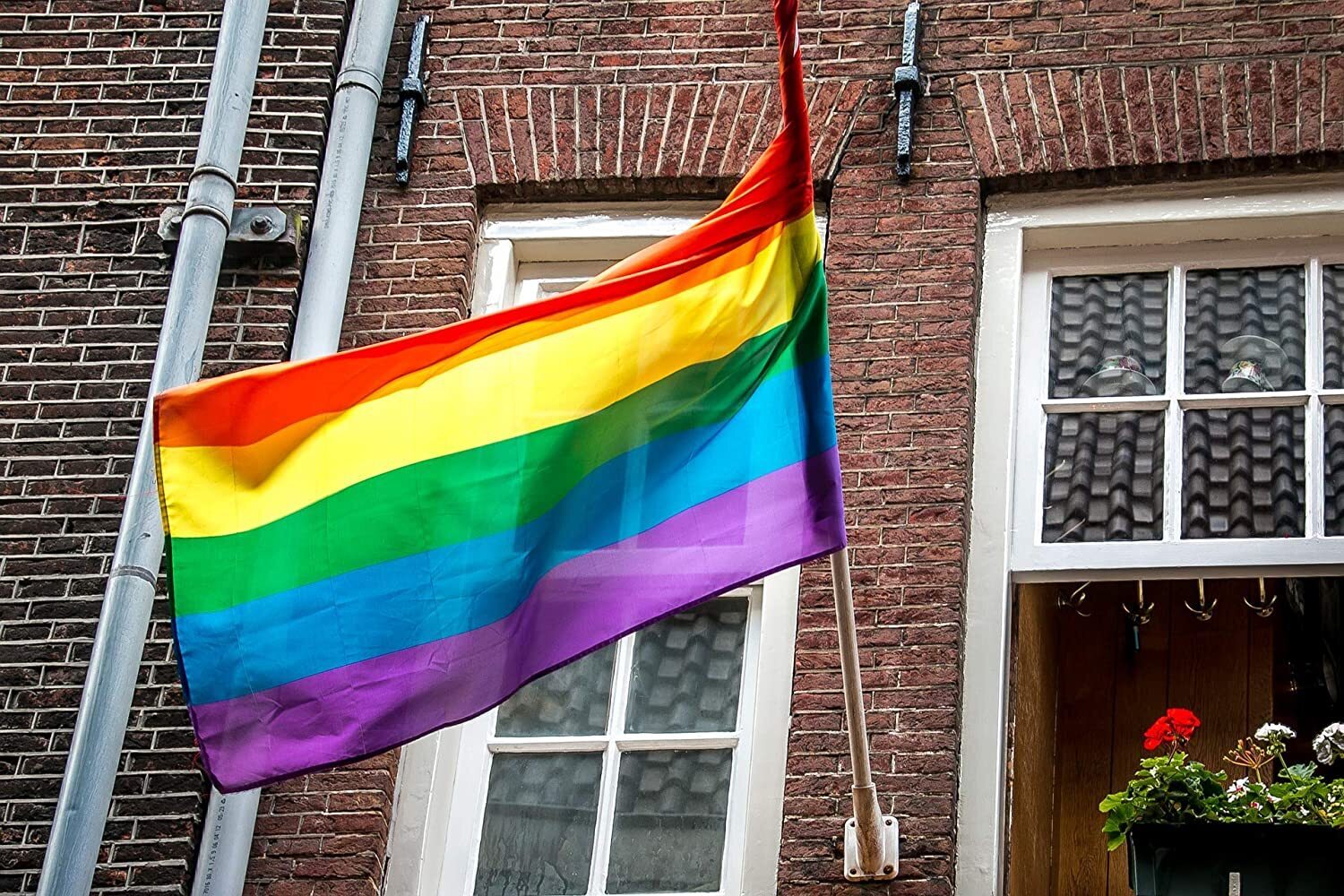 NNEDSZ rainbow gay pride flag outdoor banner, 150x90cm, with metal eyelets, suitable for canopies and gazebos.