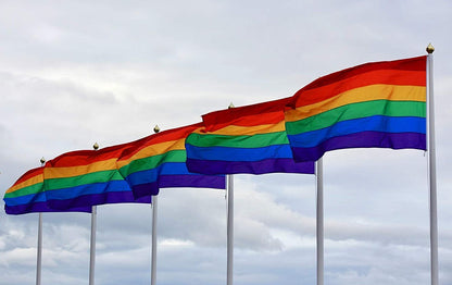 NNEDSZ rainbow gay pride flag outdoor banner 150x90cm with metal eyelets, ideal for canopies and gazebos, vibrant rainbow colors.