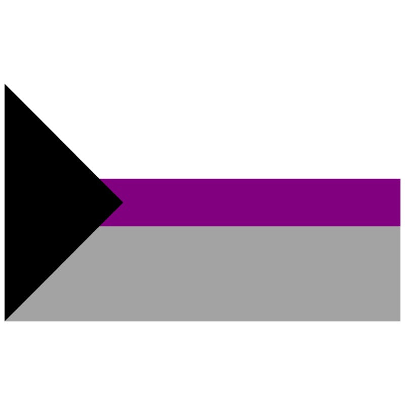 Demisexual Pride Flag, 5ft by 3ft, featuring the rainbow stripes with a black and purple stripe, displayed on a flagpole.