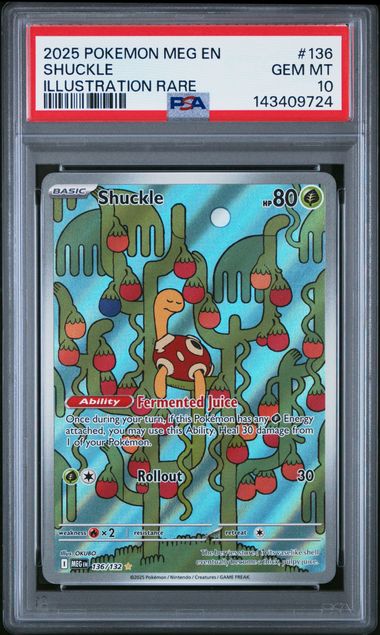 Illustration of Shuckle from Pokémon Mega En Mega Evolution #136, rare PSA Gem Mint 10 card, by Ralphie's Funhouse