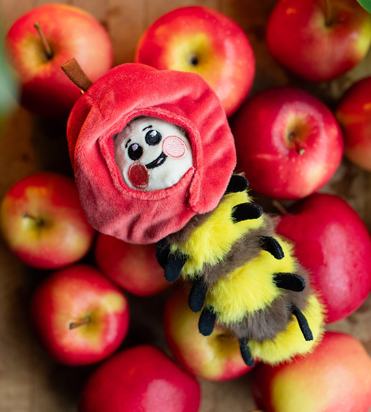 Kaleidos Creative Wooly Bear plush keychain from Ralphie's Funhouse in a sealed blind box, featuring colorful character design.