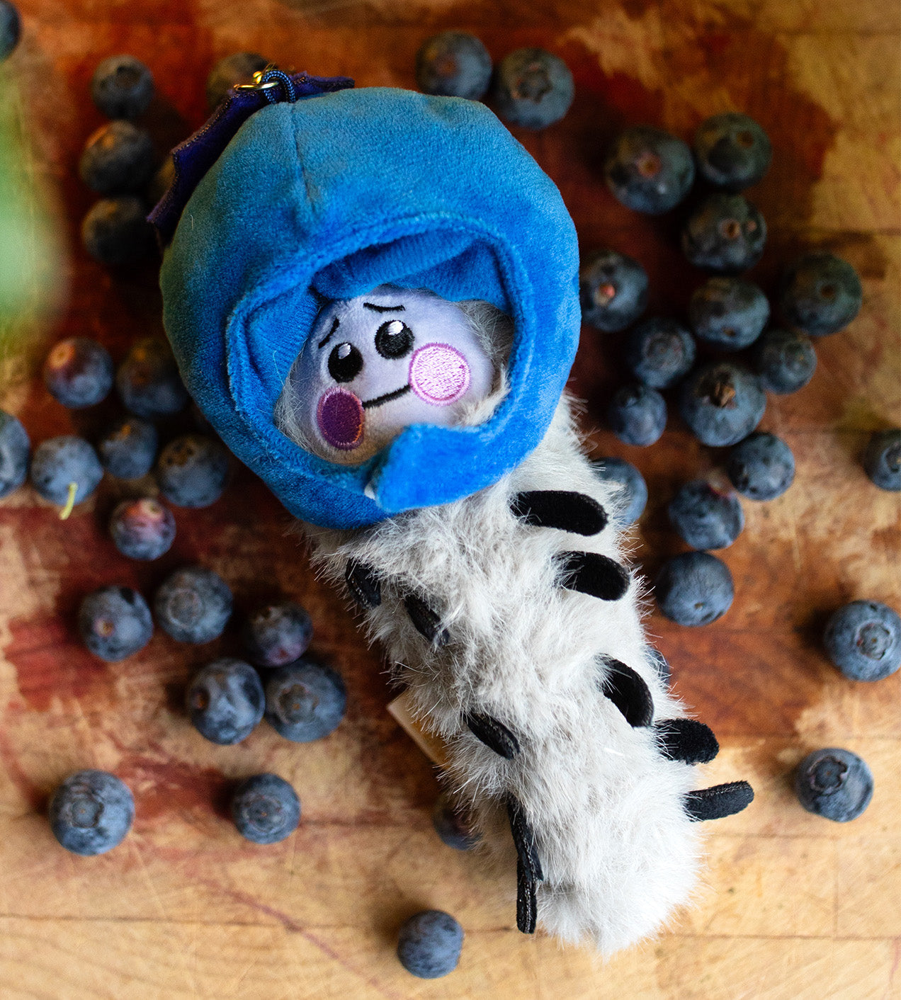 Sealed blind box of Kaleidos Creative Wooly Bear and Friends plush keychain by Ralphie's Funhouse, featuring colorful plush characters inside.